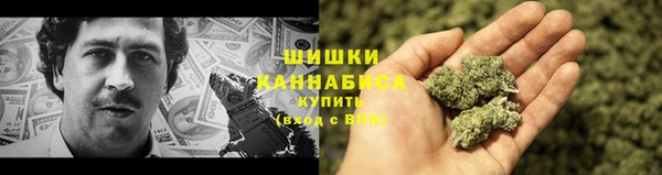 mdpv Белокуриха