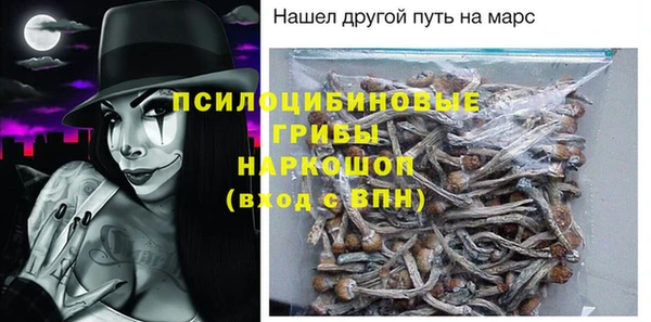 mdpv Белокуриха