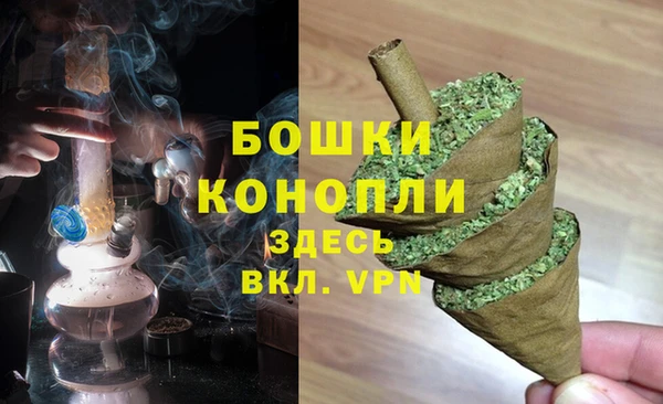 ГАЛЛЮЦИНОГЕННЫЕ ГРИБЫ Белоозёрский
