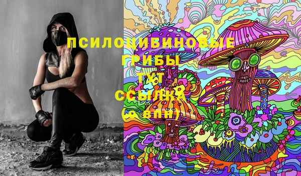 эйфоретик Беломорск