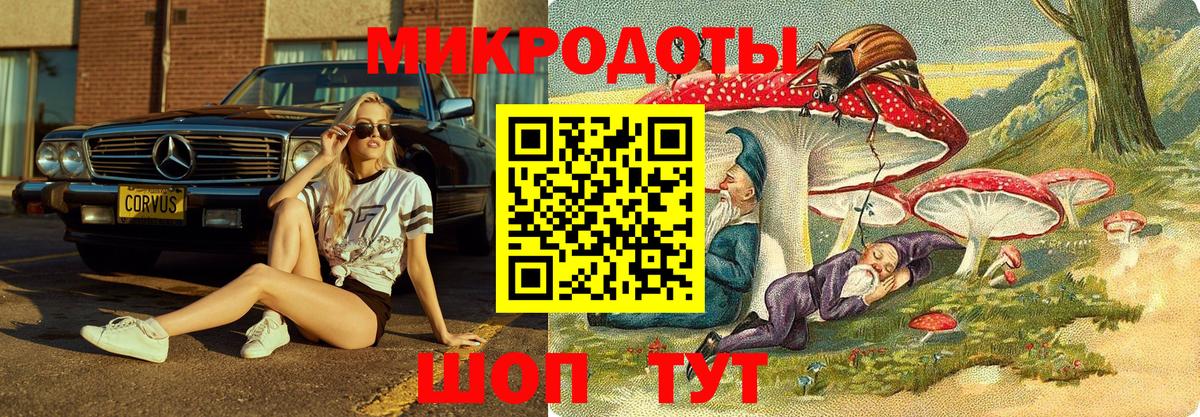Псилоцибиновые грибы прущие грибы Маркс